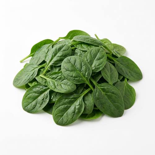 Epinards en feuilles frais