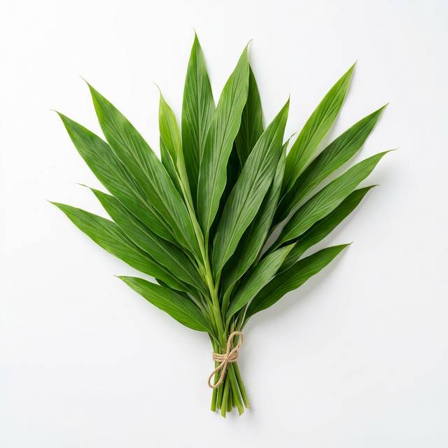 Feuilles de Gingembre - Odjom