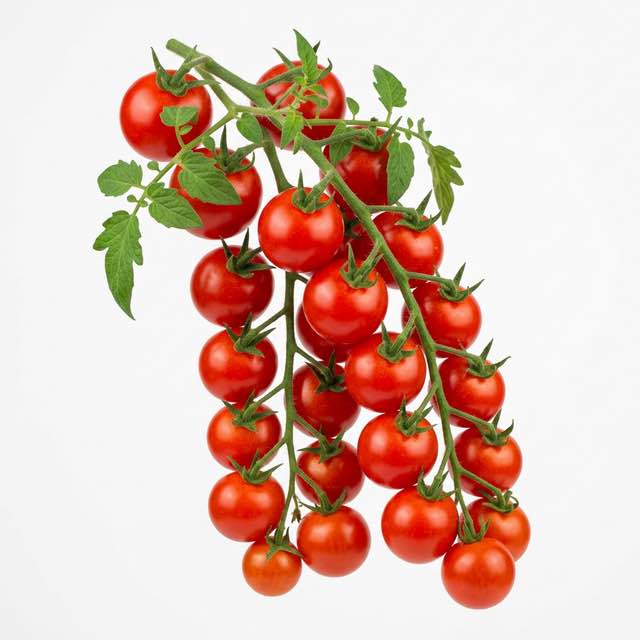 Tomates cerises Délices du jardinier